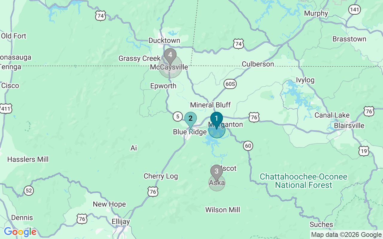 Map of Airbnb guest-review hotspots in Blue Ridge with location premium circles