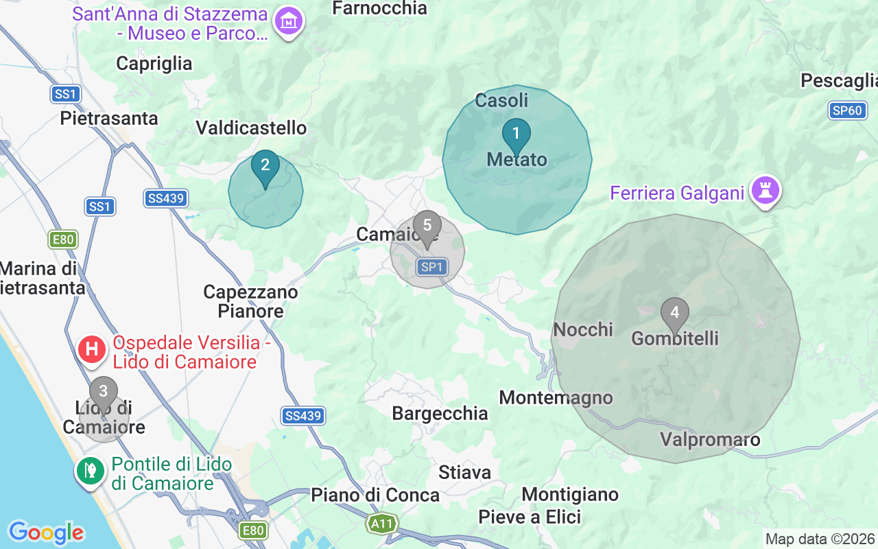Map of Airbnb guest-review hotspots in Camaiore with location premium circles