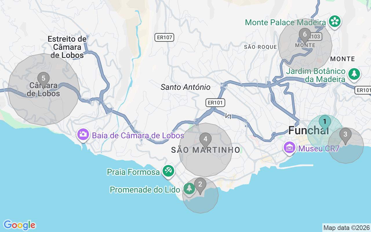 Map of Airbnb guest-review hotspots in Funchal with location premium circles