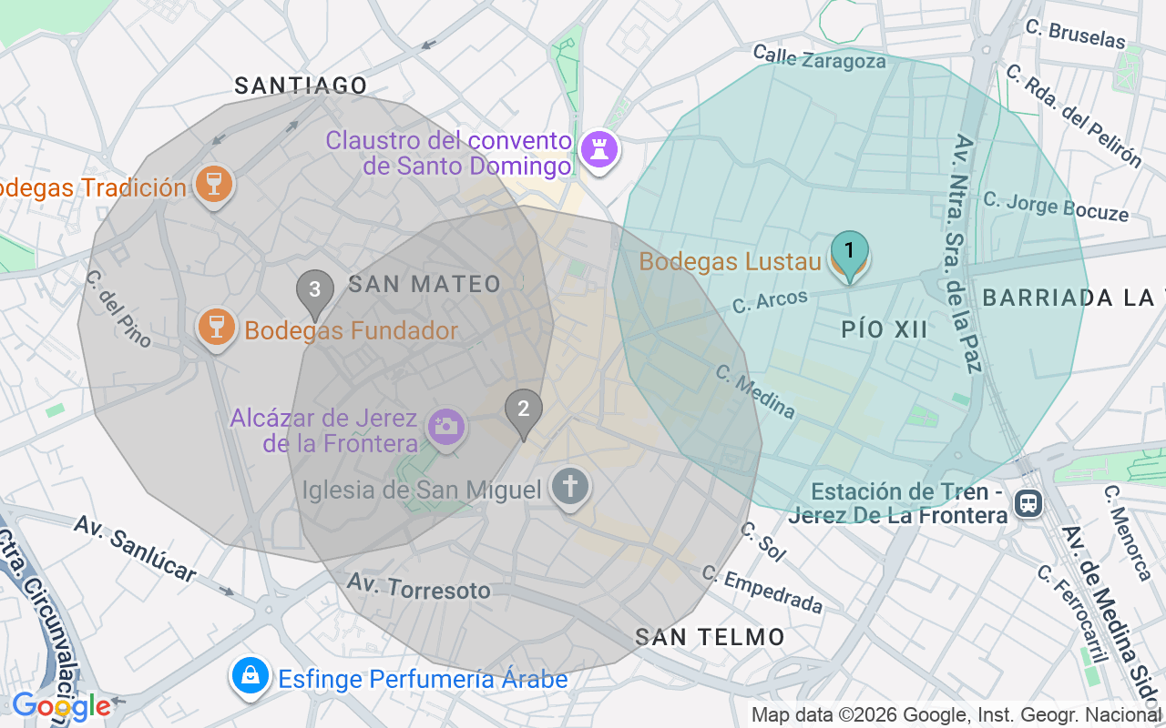 Map of Airbnb guest-review hotspots in Jerez with location premium circles