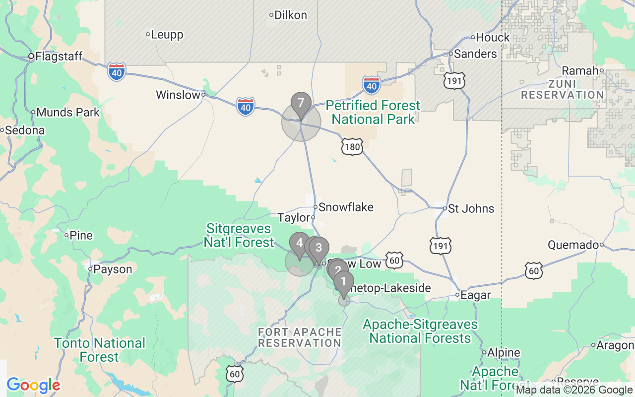 Map of Airbnb guest-review hotspots in Show Low with location premium circles