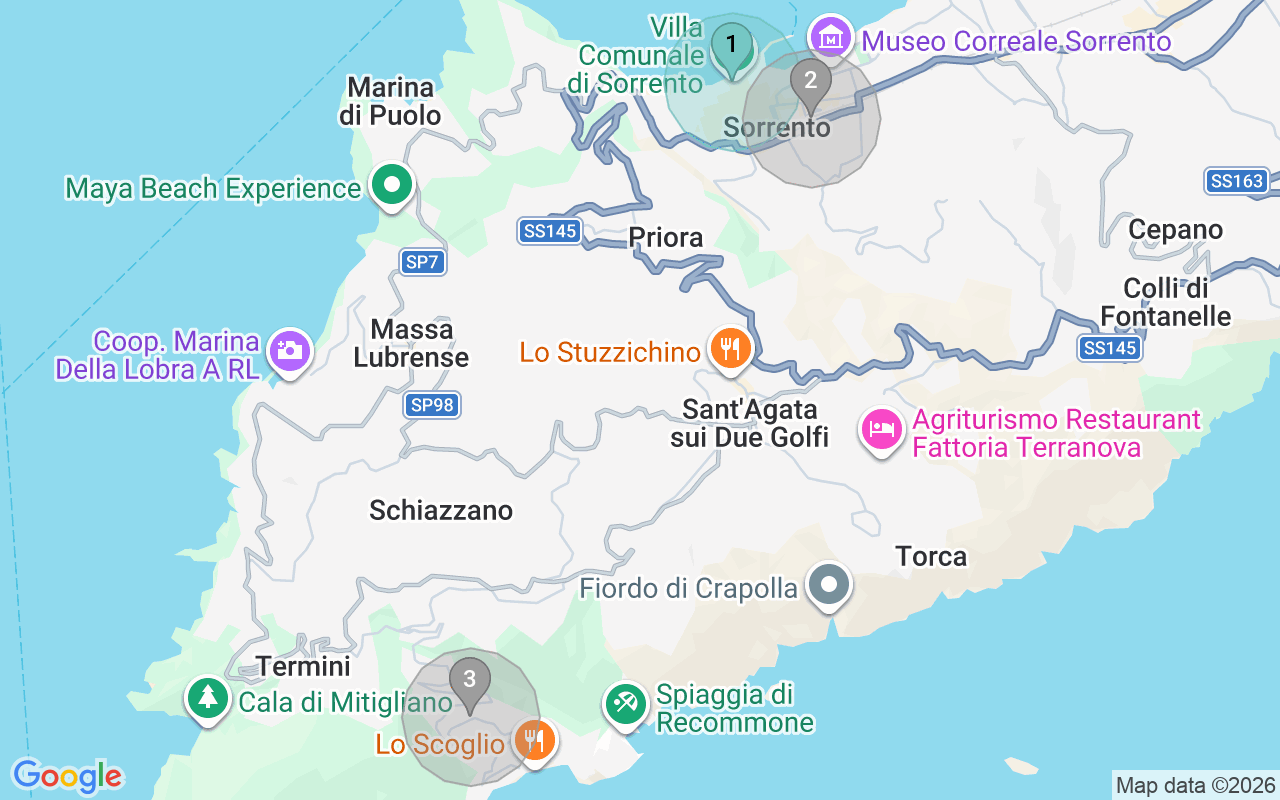Map of Airbnb guest-review hotspots in Sorrento with location premium circles