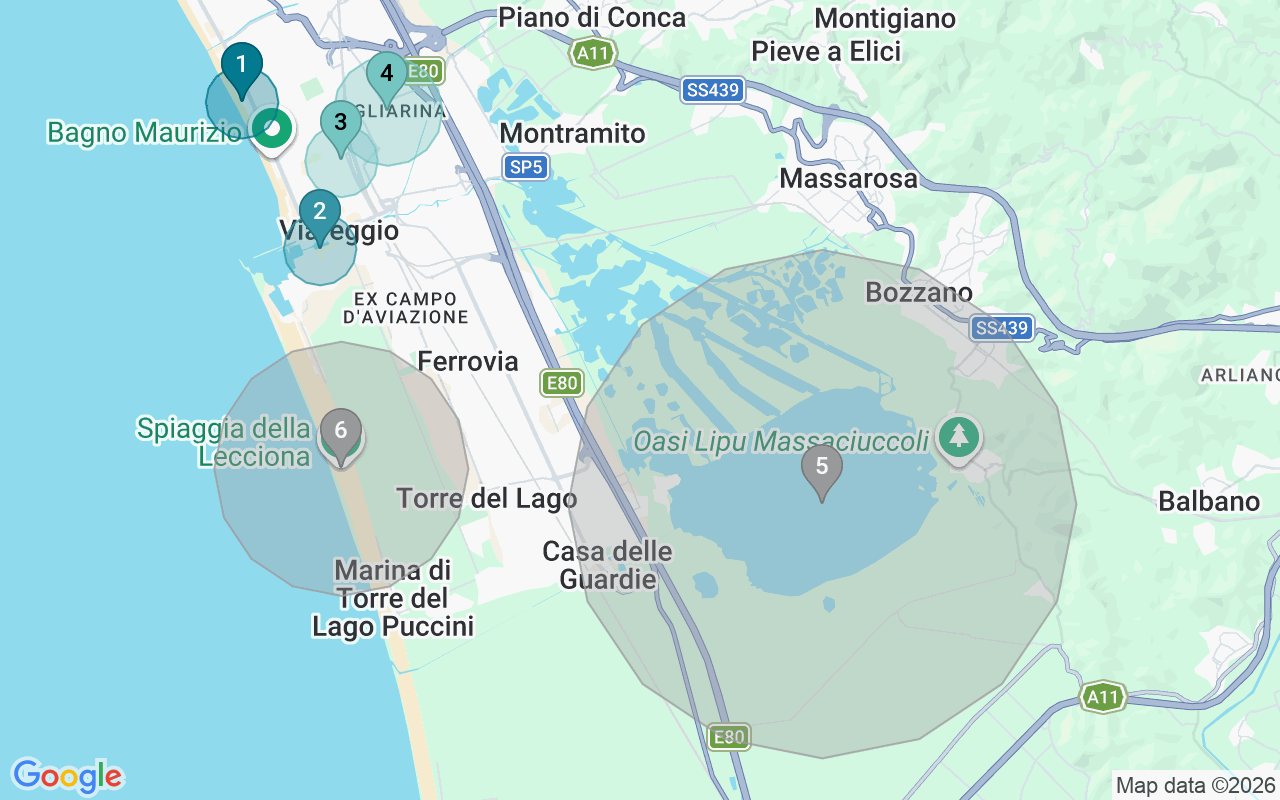 Map of Airbnb guest-review hotspots in Viareggio with location premium circles